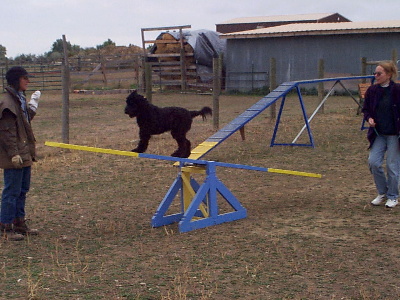 P000734.JPG (73793 bytes)
