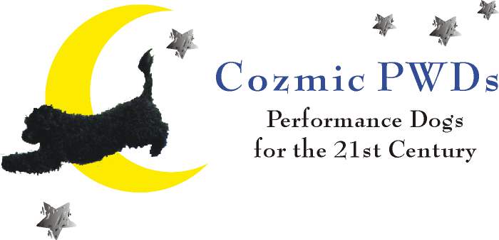 cozmicpwds.jpg (15960 bytes)
